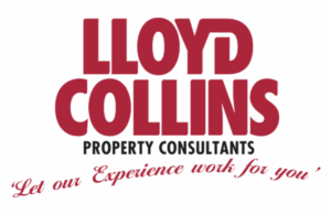 Lloyd Collins
